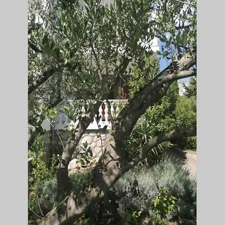 Ap Brine 1 Appartamento Starigrad Paklenica