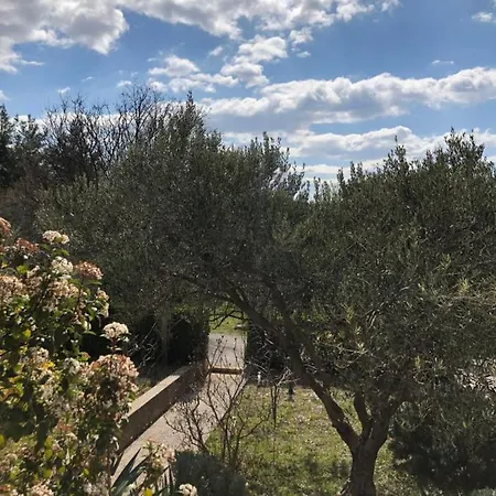 Ap Brine 1 * Starigrad Paklenica
